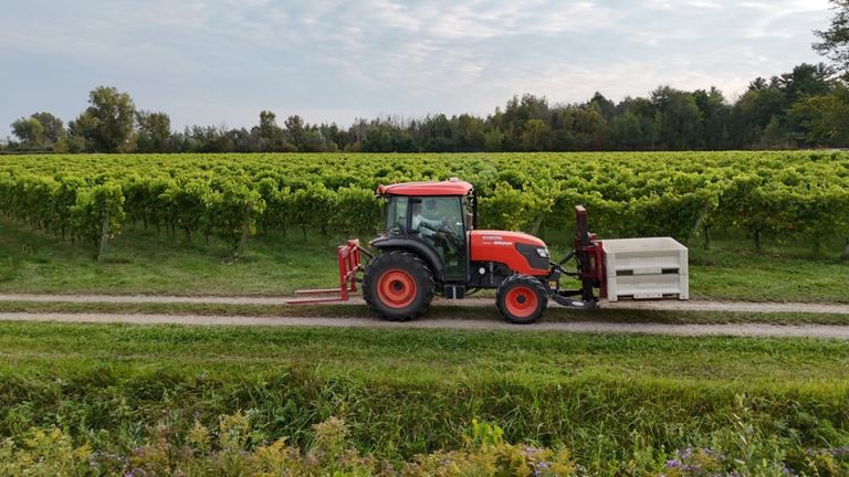 Vignoble