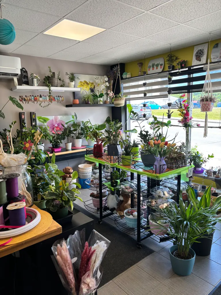 Boutique spécialisée / Fleuristerie  clé en main- Secteur Nord de Québec