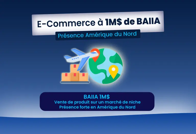 EC30784 - Groupe e-commerce international, Niche premium, Plus de 1 000 000 $ CAD de BAIIA - Entreprise européenne, opérable depuis le Québec dès l'acquisition