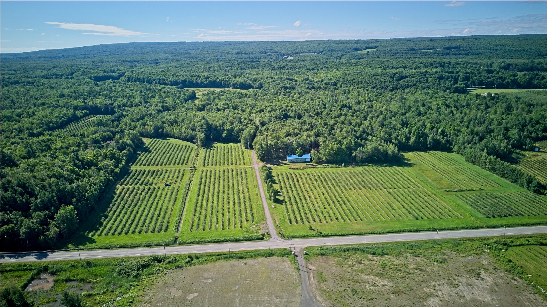 Ferme de 165 acres avec production de bleuets géants et érablière en expansion