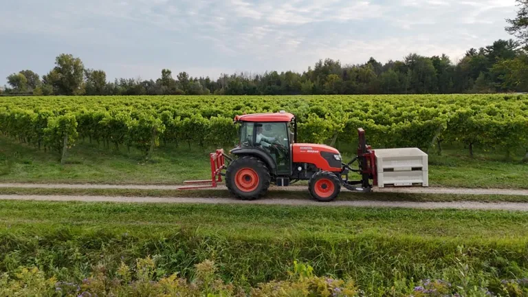 Vignoble