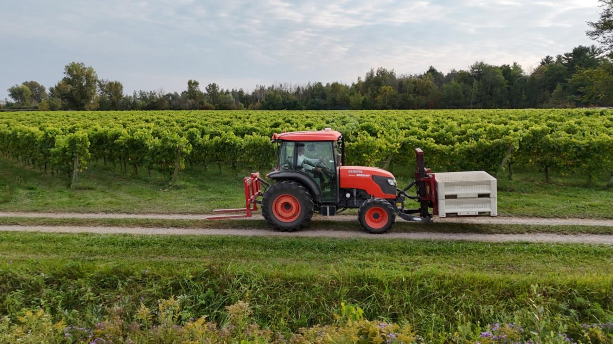 Vignoble